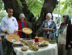 Çınar gölgesinde yemek eğitimi
